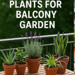 12 Magical Low Maintenance Plants for a Balcony Garden That Thrive with Little Effort