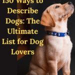 150 Ways to Describe Dogs: The Ultimate List for Dog Lovers
