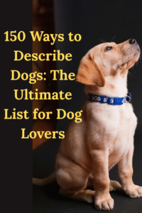 Read more about the article 150 Ways to Describe Dogs: The Ultimate List for Dog Lovers