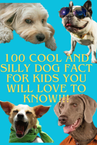 Read more about the article 100 Fun Dog Facts for Kids 🐶 | Cool, Simple & Amazing Things About Dogs
