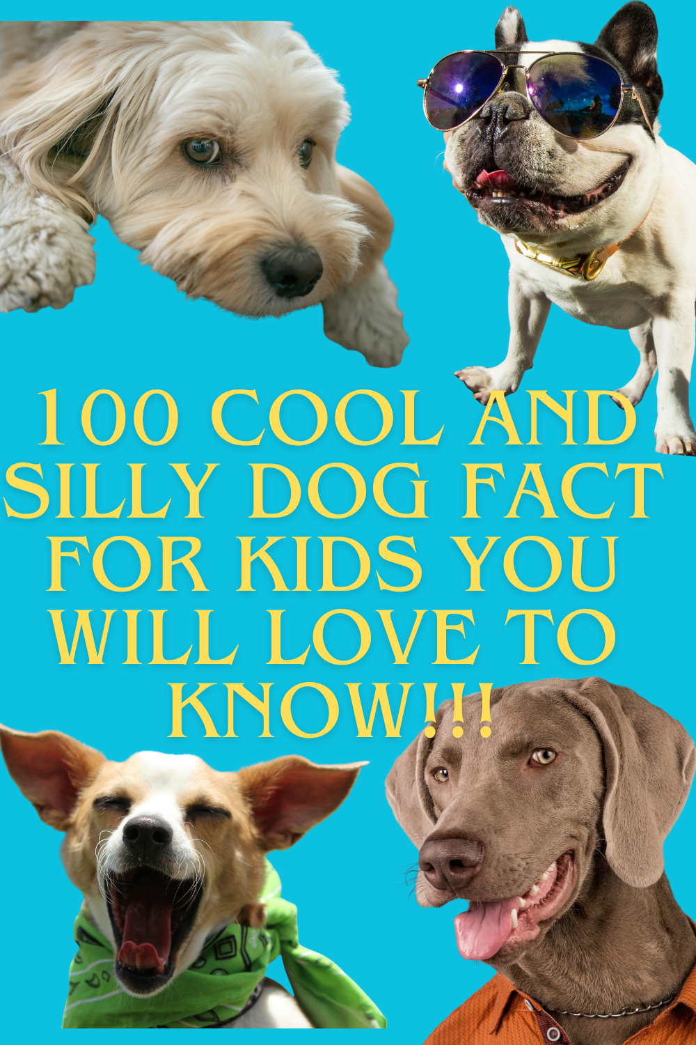 You are currently viewing 100 Fun Dog Facts for Kids 🐶 | Cool, Simple & Amazing Things About Dogs