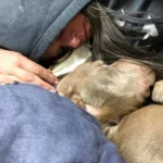 She Stayed Up All Night Holding a Dying Shelter Dog Watson So He Wouldn’t Leave the World Alone