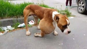 Read more about the article Left to Fade, Chose to Live: Alfonzo’s Fight for a Second Chance