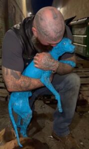 Read more about the article The Frozen Blue Miracle: How Cobalt Found Life Again in the Hands of a Stranger