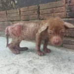 Left Behind on His Birthday: How Sunny Found Hope When He Needed It Most