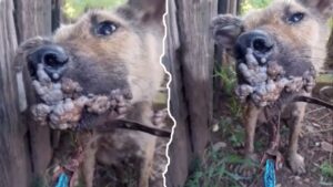 Read more about the article From the Streets to a Second Chance: Nossa’s Journey from Suffering to Joy