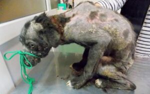 Read more about the article From Chains to Celebration: Isumu’s Powerful Journey Toward Love and a New Life